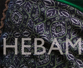 Hebammenpraxis