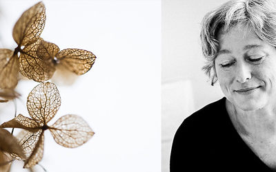 Website Jutta Möhring