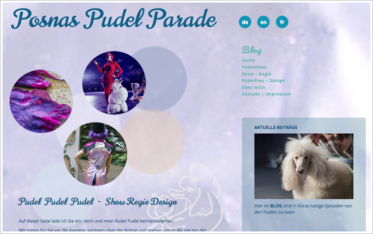 Website Posna